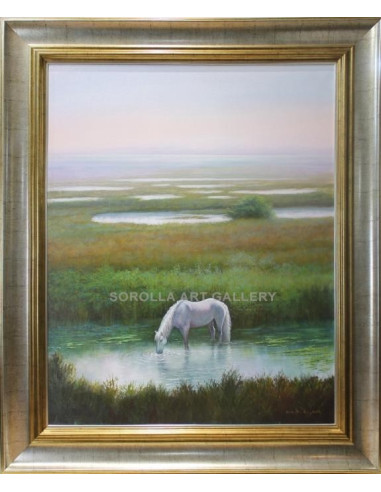 Rodolfo Regaño: Marsh