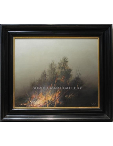 Juan Roldán: Fire