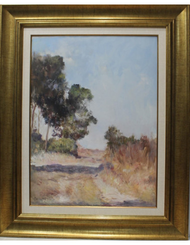 Landscapes: Landscape