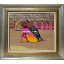 Bullfighter