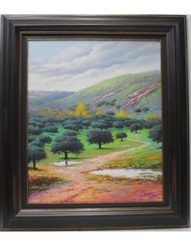 Ojeda: Paisaje