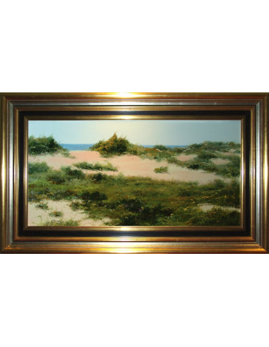 José Barbera: Dunes