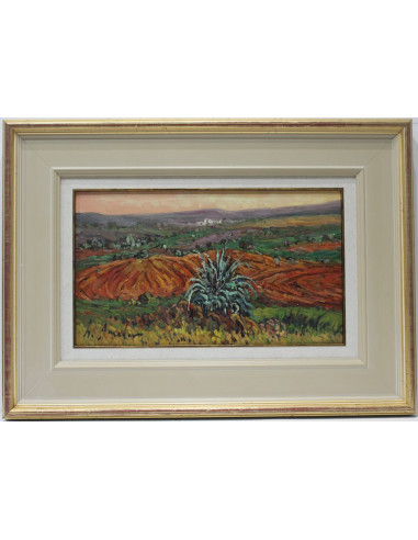 Amador: Field