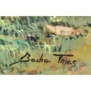 Badia Trias: River spots