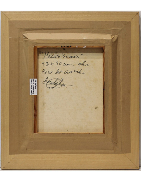 Rosa María: Flowerpot and geraneos