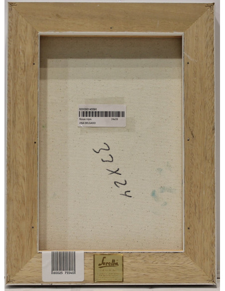 Ana Delgado: Rosas rosas