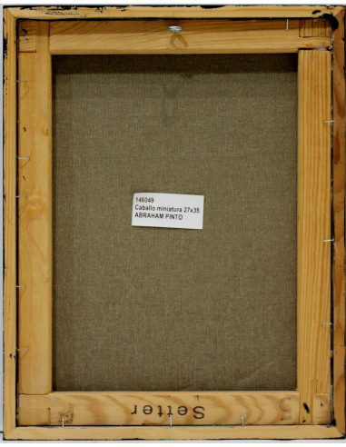 Abraham Pinto: Caballo miniatura