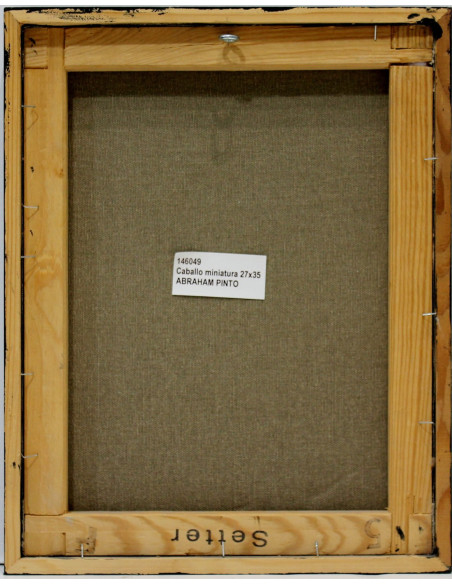 Abraham Pinto: Miniature horse