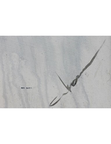 Abraham Pinto: Torero pase