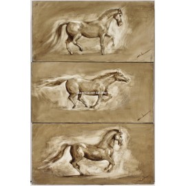 Poses of the horse