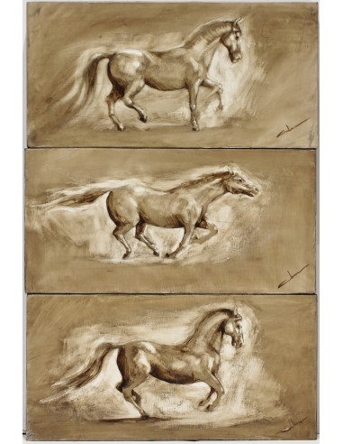 Abraham Pinto: Poses del caballo