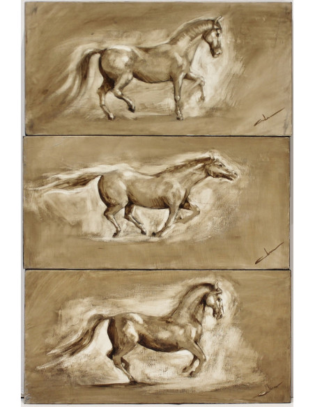 Abraham Pinto: Poses del caballo