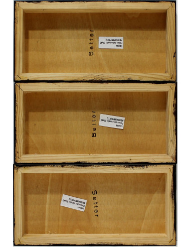 Abraham Pinto: Poses del caballo