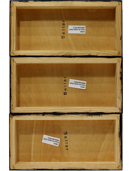 Abraham Pinto: Poses of the horse