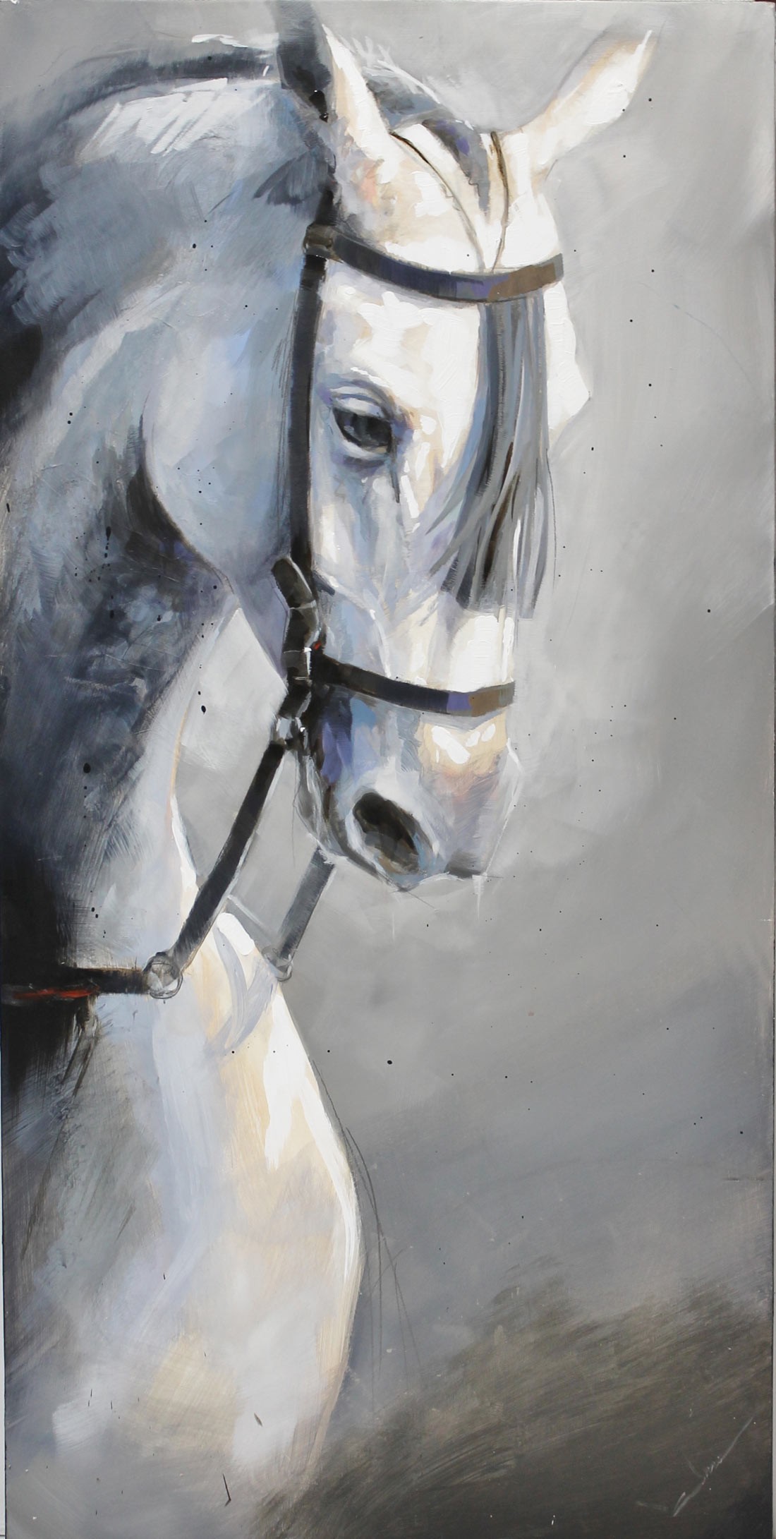 Abraham Pinto: La mirada del caballo