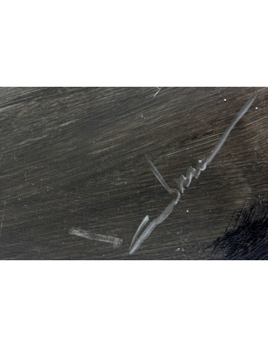 Abraham Pinto: La mirada del caballo