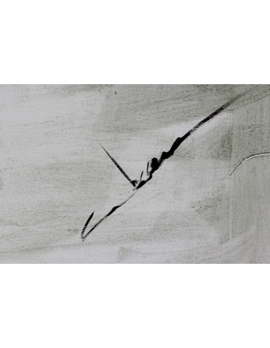 Abraham Pinto: Flamenco