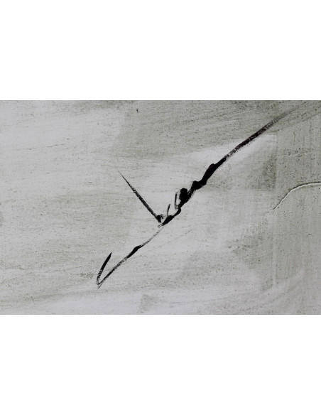 Abraham Pinto: Flamenco