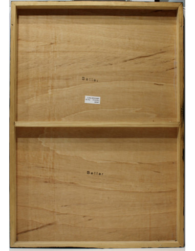 Abraham Pinto: Flamenco