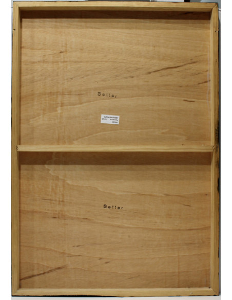 Abraham Pinto: Flamenco