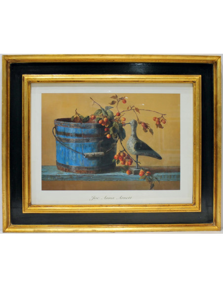 Anónimo: Plate IARN15