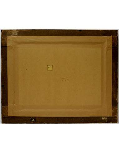 Anónimo: Plate IARN15