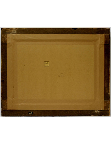 Anónimo: Plate IARN15