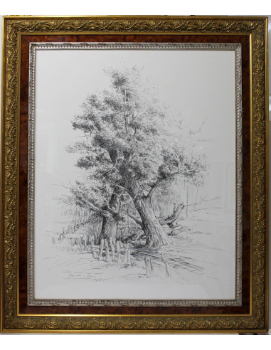 José María Menacho: Tree