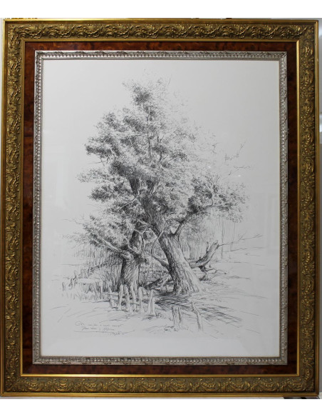 José María Menacho: Tree