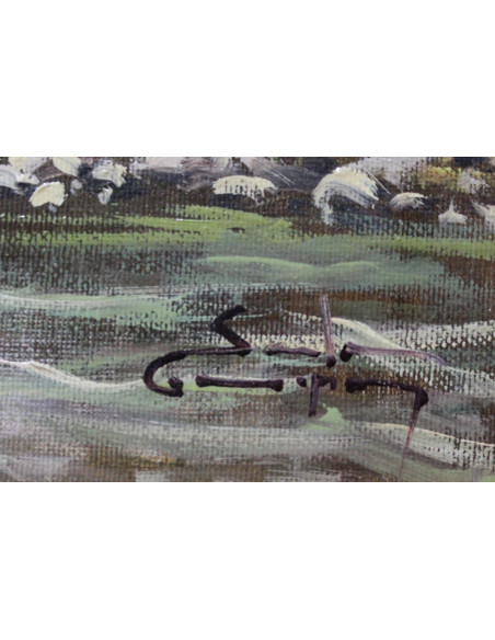 R. Soler: Paisaje