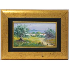 Batelli: Olive trees