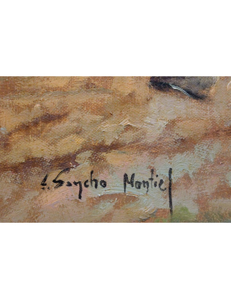 Sancho Montiel: Diligencia