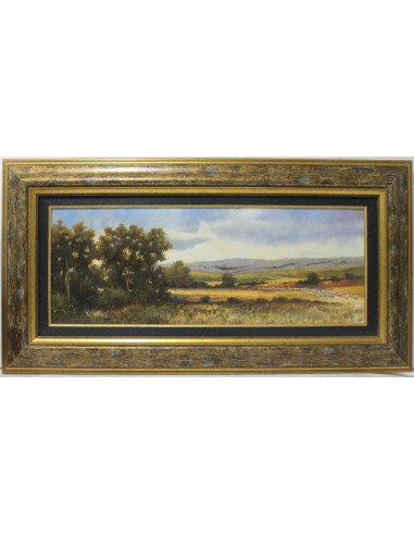 M. Guazo: Norte de Palencia