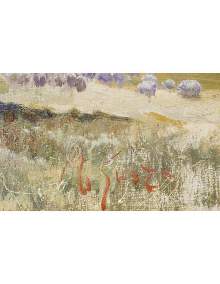 M. Guazo: Norte de Palencia