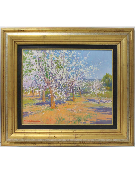 Calabuig: Almond trees