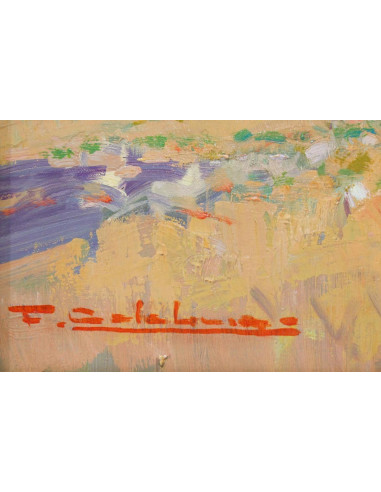 Calabuig: Almond trees