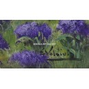 Valdivia: Lavender