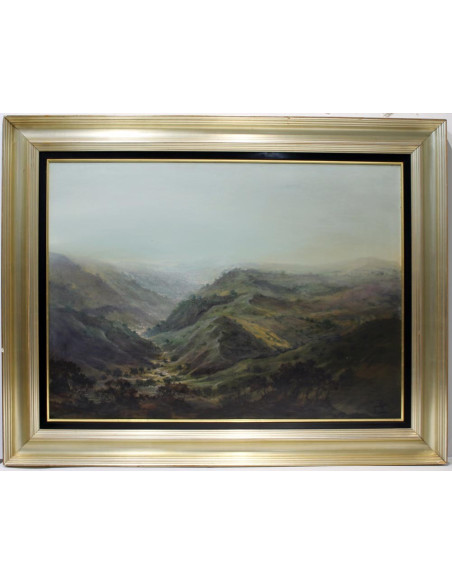 Juan Roldán: The Valley