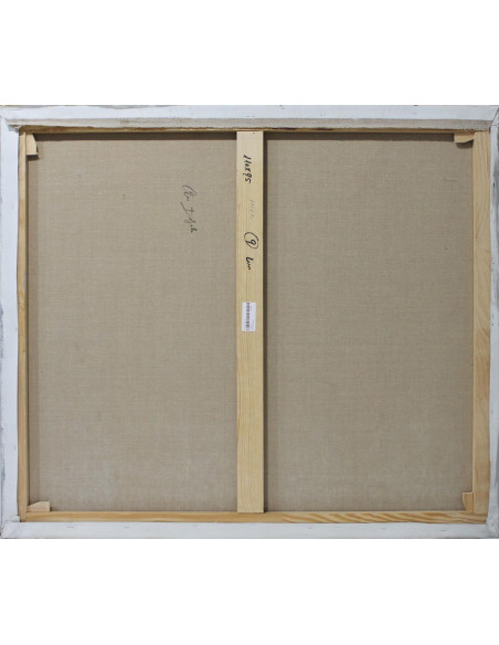 Ana Delgado: Reflections