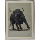 Enrique Pastor: That bull