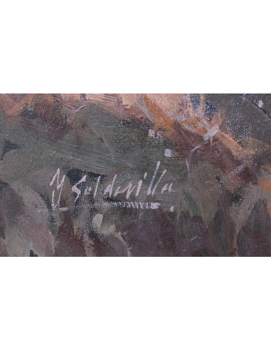 Soldevilla: Paisaje