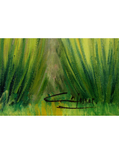 Colomer: Landscape