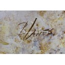 Blanes: Flowers