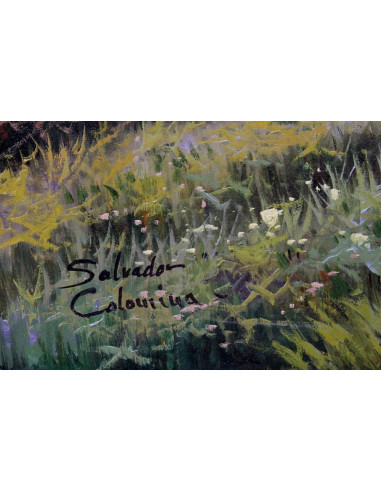 Salvador Colomina: Paisaje