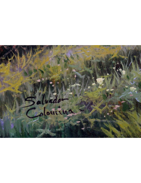 Salvador Colomina: Paisaje