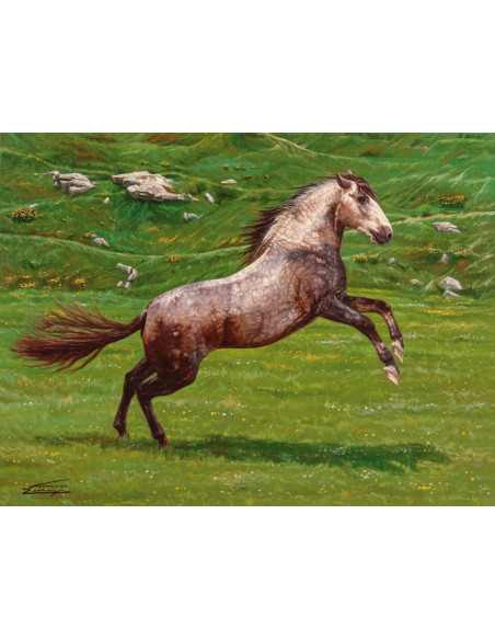 Fernando Ibáñez: Caballos