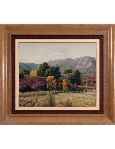 Ramis: Landscape