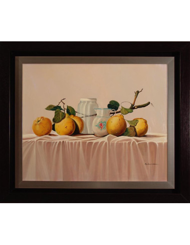 Colomina: Still life