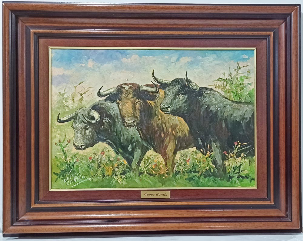 López Canito: Bulls in the field