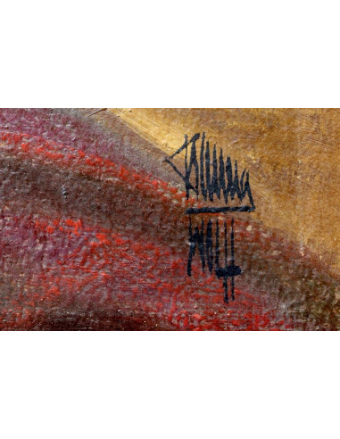 Carlos Barrera-Wolff: Banderillas